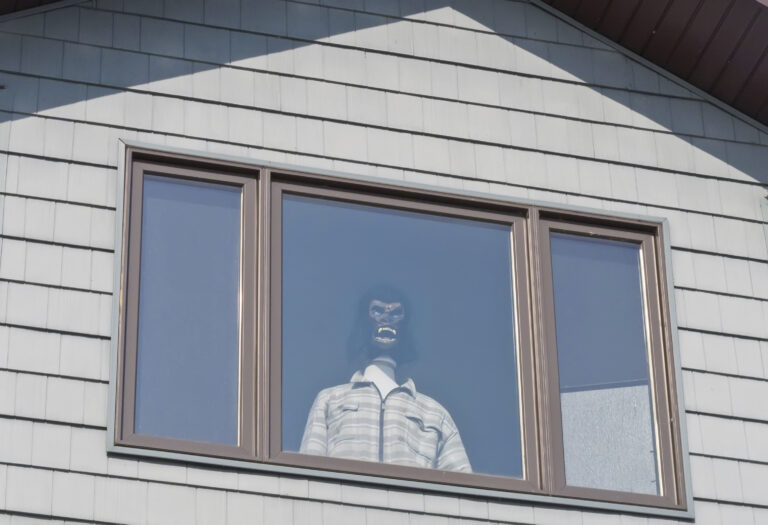 Monkey Mania (The Gift review)