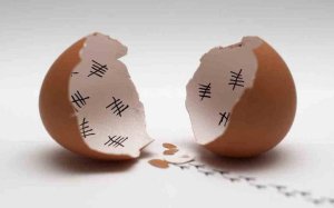 funny-pictures-auto-egg-birth-480271