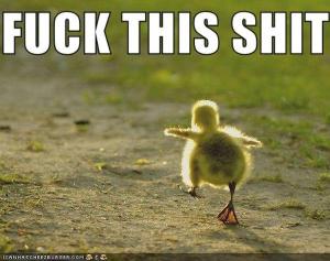 9f882617-54f1-4860-add0-8067b8107967