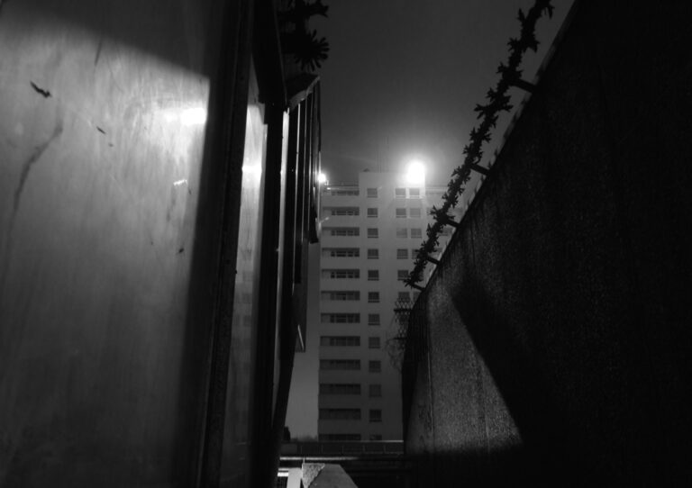 Reading Is Hard (Hemingway to Orwell)