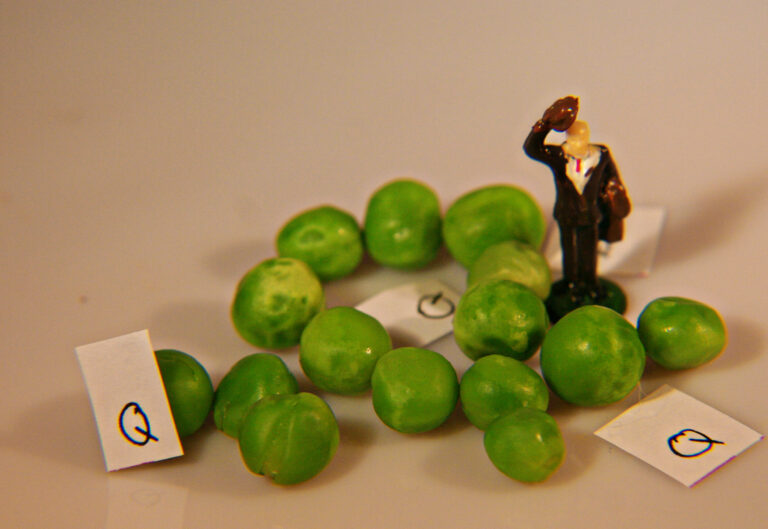 Mind Your Own Business (Your Business Plan)