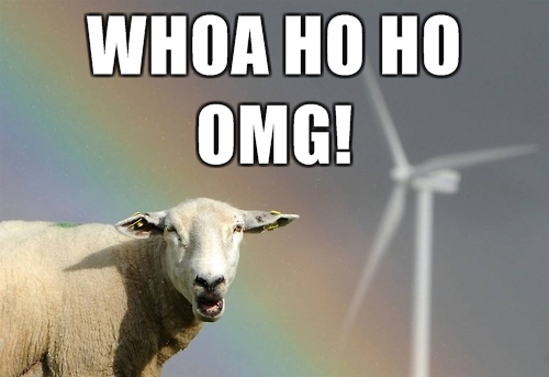 whoa_ho_ho_omg_double_rainbow-14301