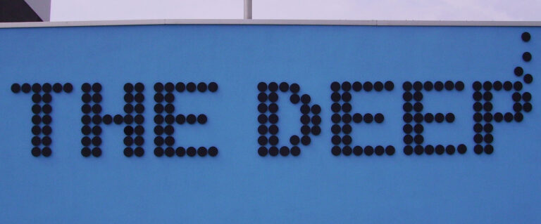 In The Deep (The Shallows review)