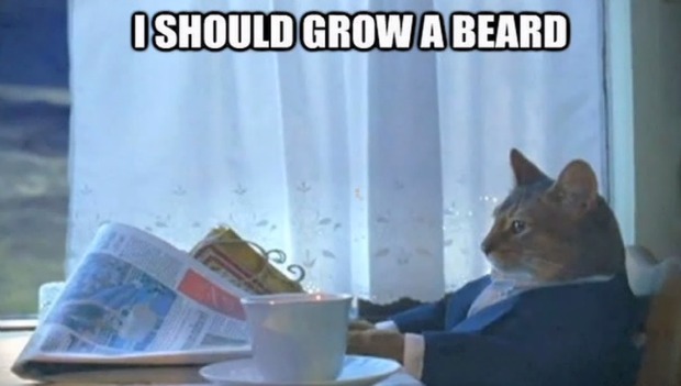 favorite-memes-parody