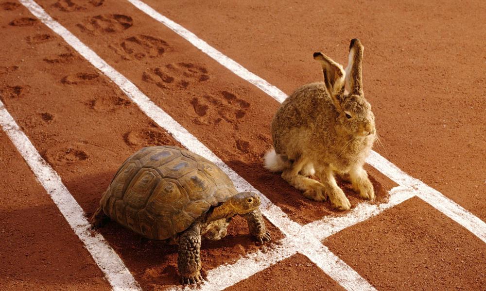 Tortoise and hare