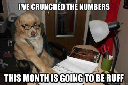 cpa-dog