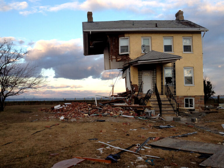 Discover Their Stories (Women’s History Month)