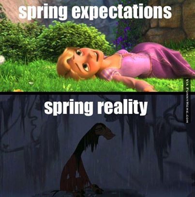 funny-memes-spring-expectations
