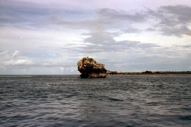 Your Stoicism Entryway (The Shins, Heartworms review)