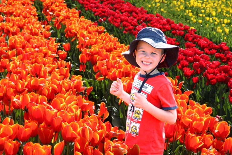 Stop To Smell The Flowers (Amanda Wall, preview interview)