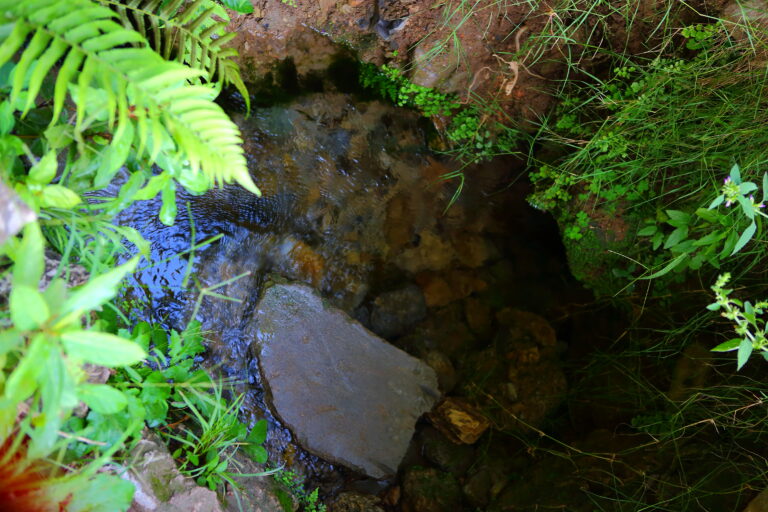 Vacation, Recreation, Sensation (Penticton BC)