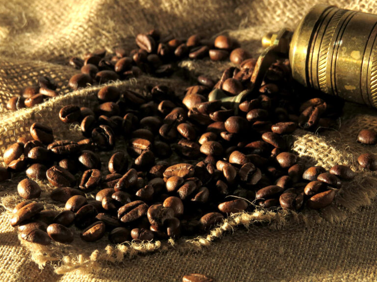 I’m In Your Face (Brawl in Cell Block 99 review)