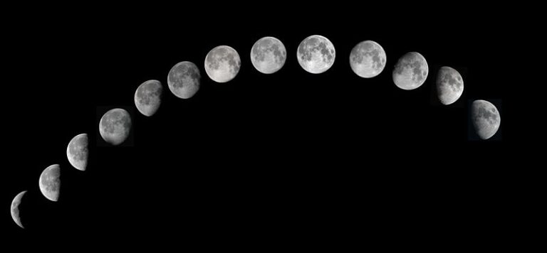 Phasers Set To Stun (Dear Rouge, PHASES review)